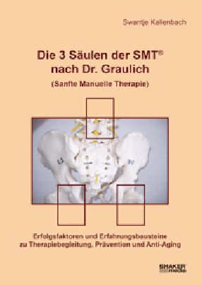 Die 3 Sulen der SMT